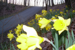 20090405-DSCN8455