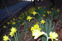 20090405-DSCN8456